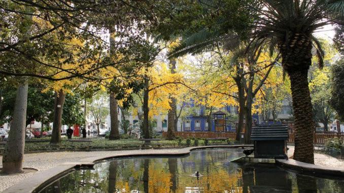 Campo De Ourique Rooms 리스본 외부 사진