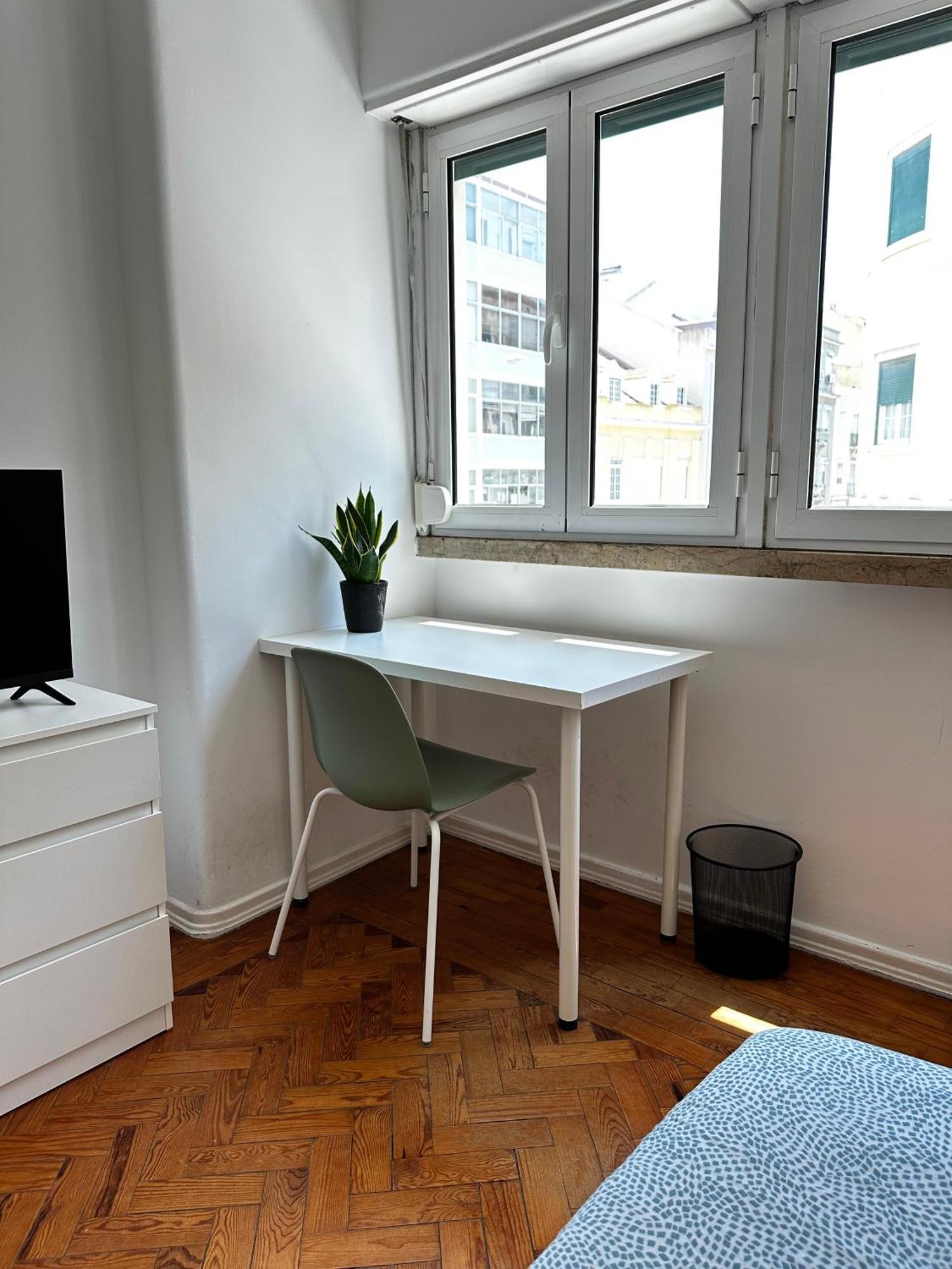 Campo De Ourique Rooms 리스본 외부 사진